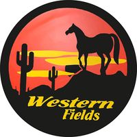 Capa-De-Estepe-Western-Crossfox-2005-A-2017-Aros-13-A-15-Polegadas-Com-Cadeado