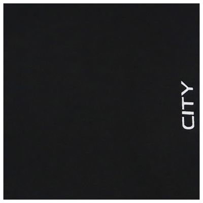 Jogo-de-Tapetes-Honda-City6