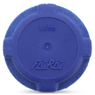 Reservatorio-de-Agua-do-Radiador-Fiat-Punto4