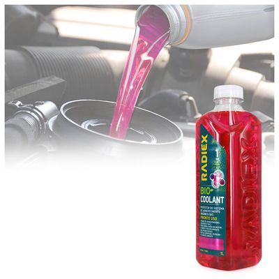 Reservatorio-de-Agua-do-Radiador-Chevrolet-Astra3
