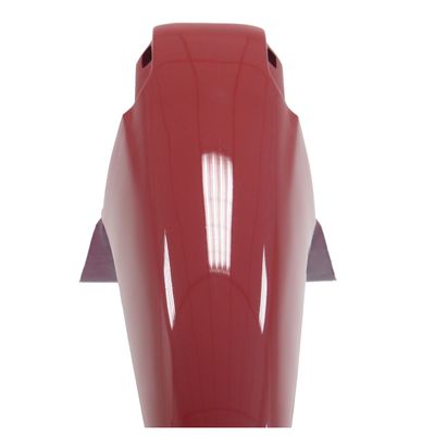 Para-lamas-Dianteiro-Biz-1005