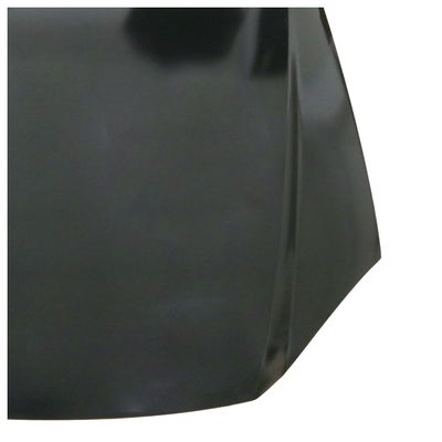 -Capo-Fiat-Palio6