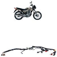 Chicote-Fiacao-Honda-CG-150-Titan-ESD1
