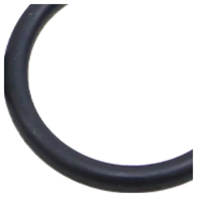 K077983_6.jpg