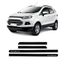 Friso-Lateral-Ford-Ecosport1