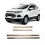 Friso-Lateral-Ford-Ecosport1