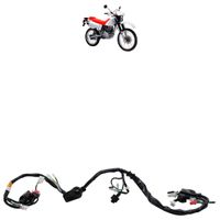 Eletrica-Moto1