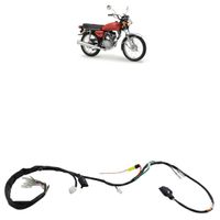 Eletrica-Moto1