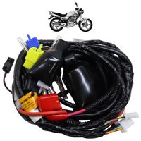 Eletrica-Moto1