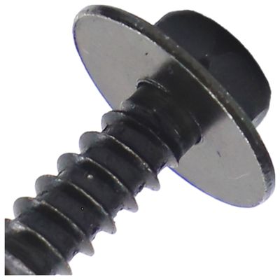 K077381_6.jpg K077381_6.jpg