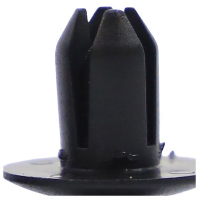 K020281_6.jpg K020281_6.jpg