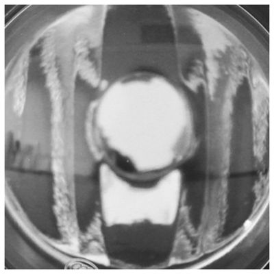 Farol-de-Milha-Renault-C34