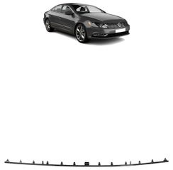 Friso-da-Grade-Volkswagen-Passat1